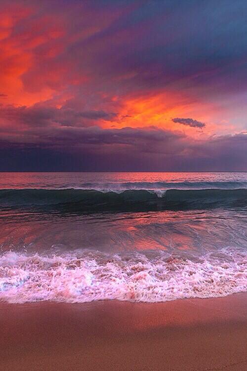 sunsetchasers_'s tweet photo. Delights of the sea http://t.co/OsRohQyR9I