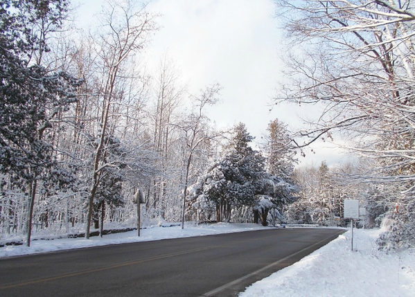 bergstromauto's tweet photo. Did you know that http://t.co/8wNAgumfts recently named Door County as one of America's "Best Winter Drives?" http://t.co/fRjfzN8Mo2