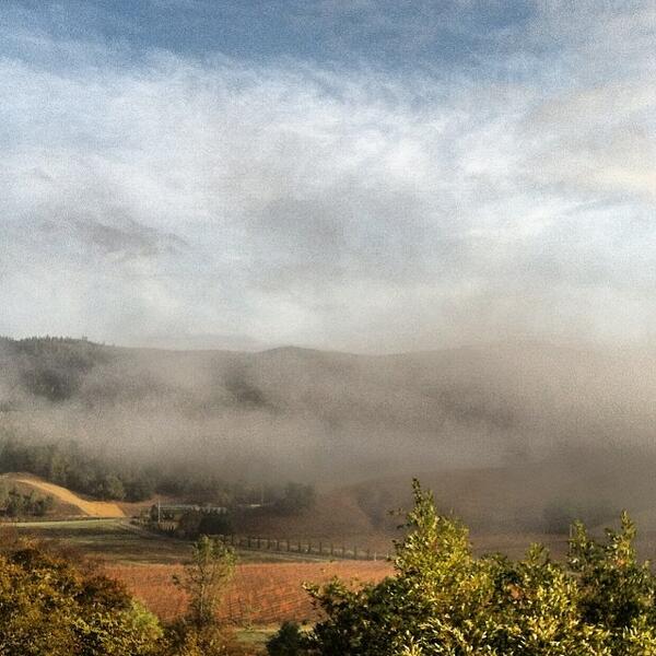 “@NapaValaree: #somerston #napavalley #morningmist #goodmorning #lifestyle ”