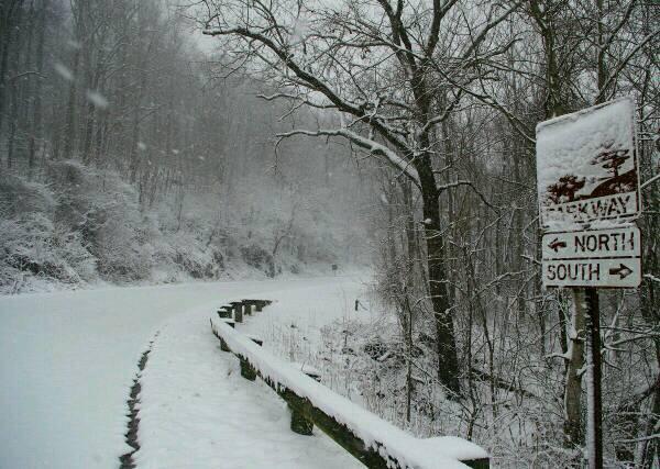 Visit North Carolina tweet media