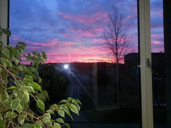 DemelMax's tweet image. 