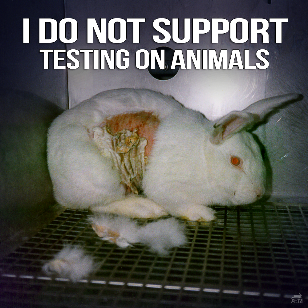 Banning Cosmetic Animal Testing Should Not Be