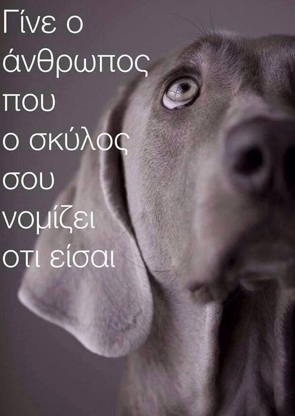 Don  Alejandro (@katana_angel_) on Twitter photo 