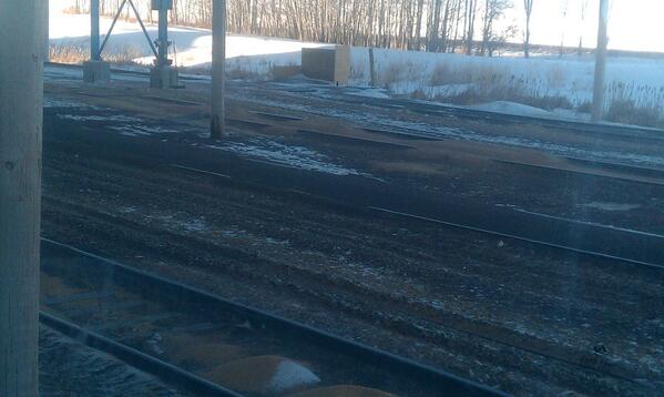abickley78's tweet image. Elevators are so full they have started storing grain between rails #grainfarmproblems