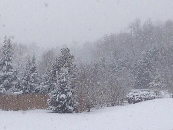 hdhenforcer's tweet image. #snowbtv