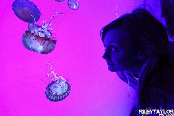 larvalungs's tweet photo. The @RipleysAquaCA was amazing this morning! http://t.co/BzJap05RbC