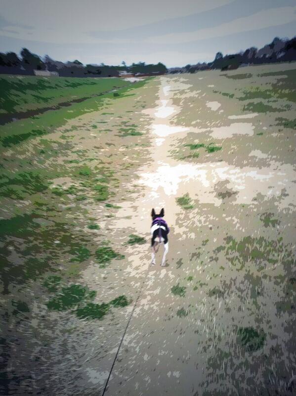 JodyZuniga's tweet image. Stuck on #runmode