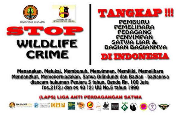 Selamat pagi pak <a href="/ridwankamil/">Ridwan Kamil</a>, pa di mall bip sareng pasar sukahaji seur satwa liar di lindungi di perjualbelikan