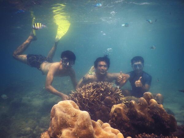 oceanatour's tweet photo. Snorkeling Time http://t.co/l9iLJoOGnV