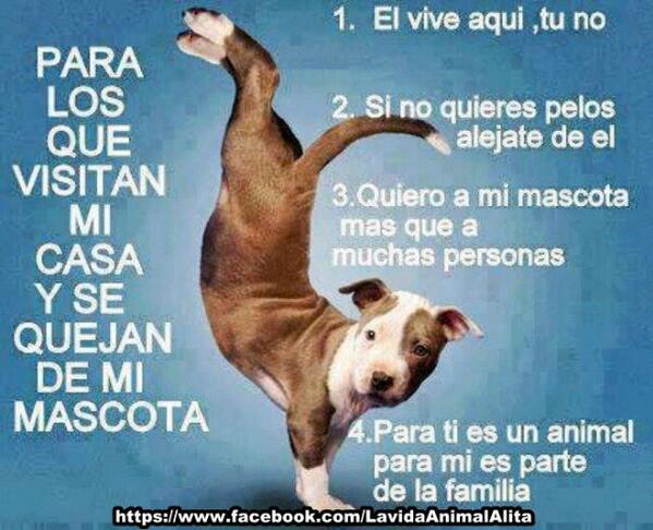 AvilesGi's tweet photo. Asi que ya saben no http://t.co/0JOduVM6Ny