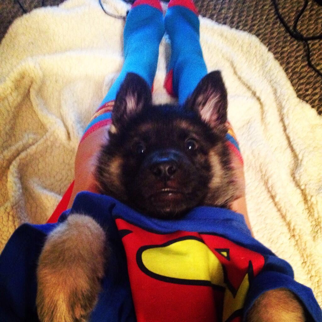 My little super man! http://t.co/xIHjCQwHyr