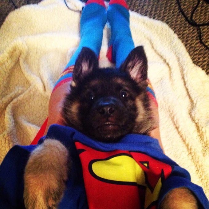 My little super man! http://t.co/xIHjCQwHyr<a href="/tag/boobies"class="tags"><span>#boobies</span></a>