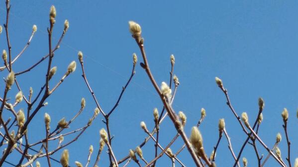 금오산자락 
금오천변에서
오늘본 봄소식