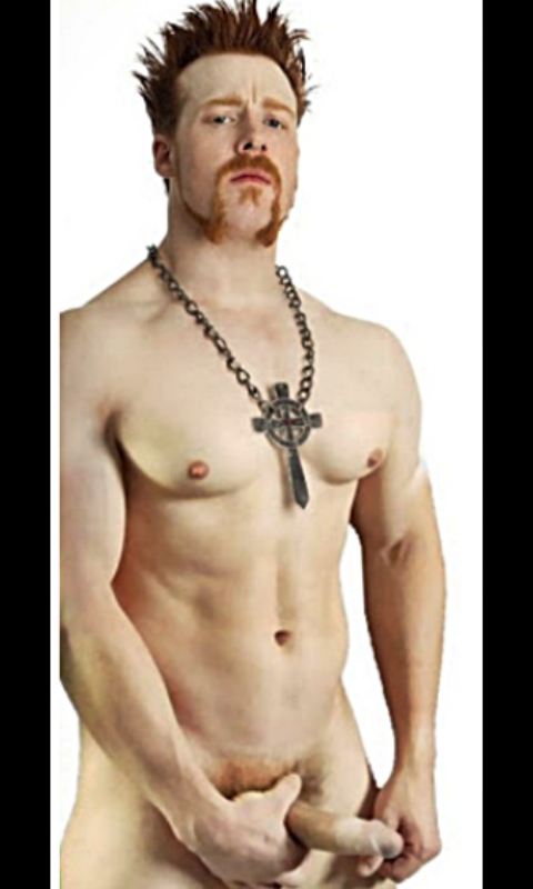 TKspoof's tweet photo. @WWESheamus youve some size flute on you sheamie http://t.co/bPPzRrTkam