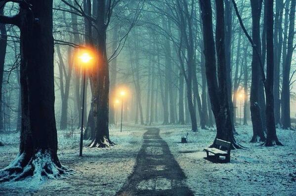 Gabriele Corno tweet media