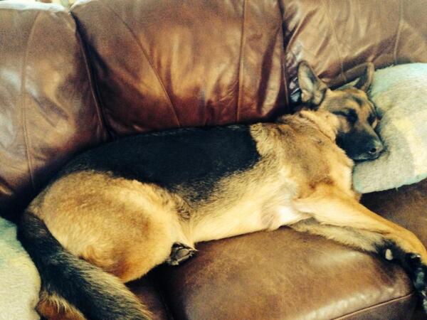 RyanCarthy's tweet photo. @CatiHanney you're not the only one getting cute pics from Diane http://t.co/HZ8ssprrXf