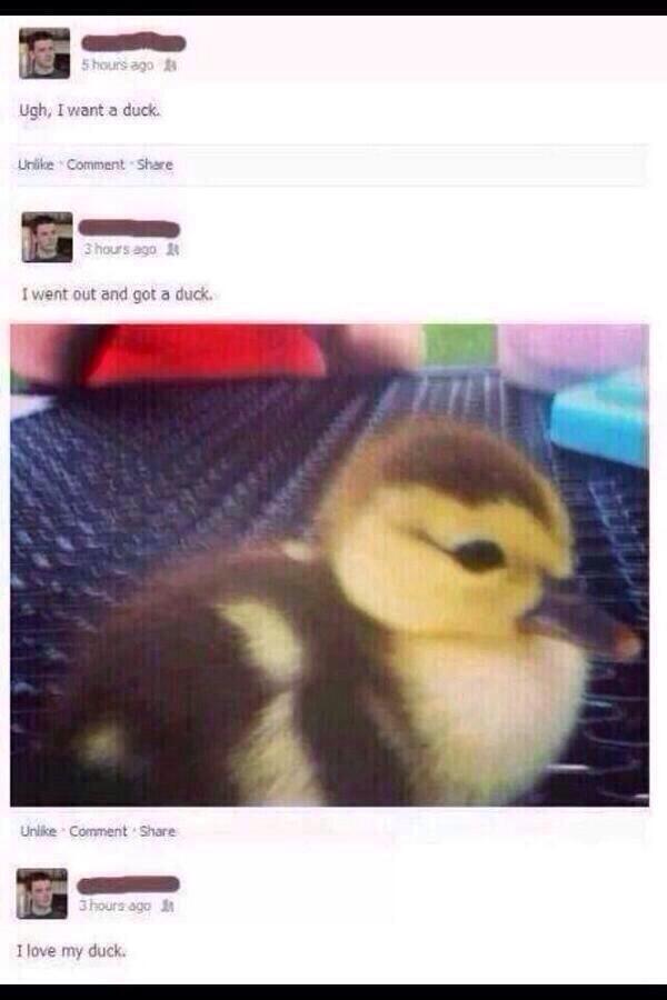 BluegrassChild's tweet image. #thiscouldbemebutmydadisplayin 😭😭