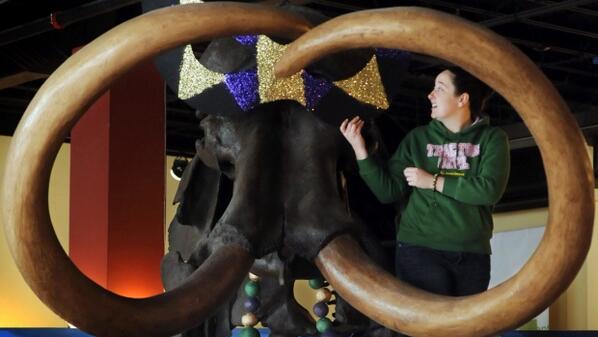 CBCNews's tweet photo. Mammoth tusk from ice age unearthed by construction workers http://t.co/twbW9L6Njv http://t.co/ABY8tVL0aY
