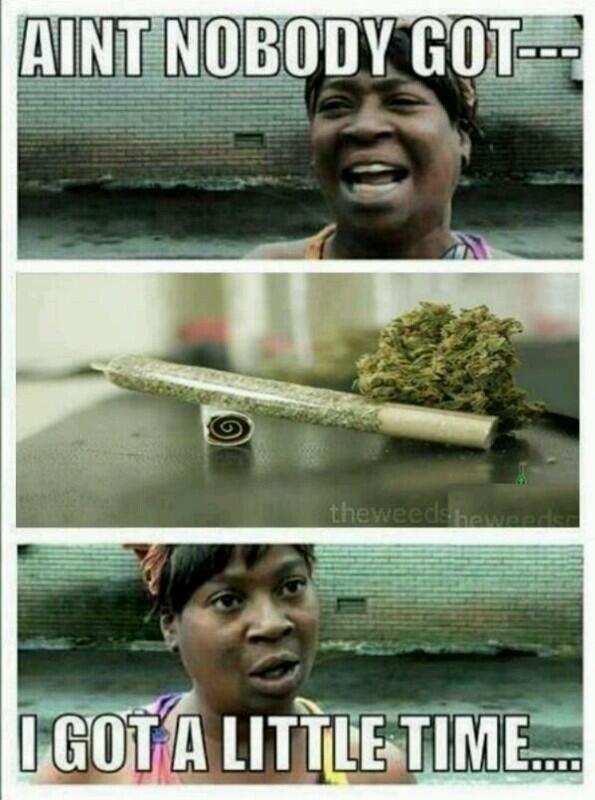 OldHighvibes's tweet photo. Daily me http://t.co/CEHYHT3t6S
