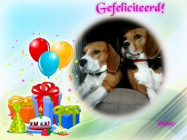 AddDelge tweet picture