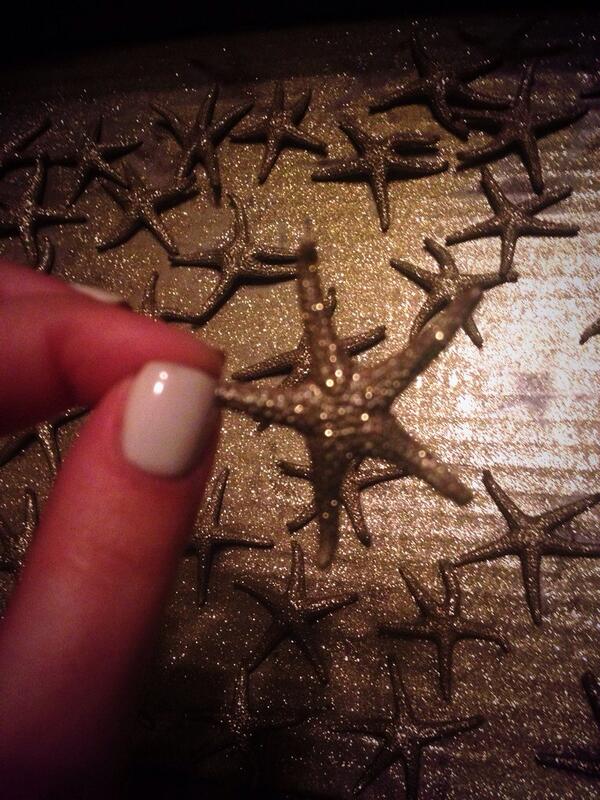 ExecSGA's tweet image. Who's excited to receive their starfish at convo today? 🌟 #communityservice #seniors #100hours