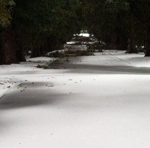 Golf Channel tweet media