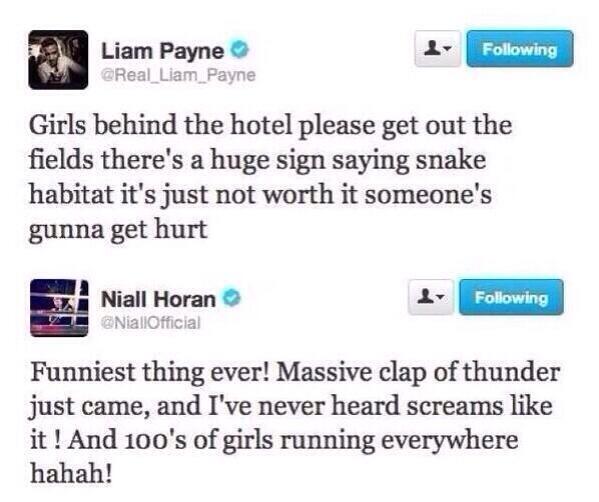 Bezpośredni odnośnik do obrazka