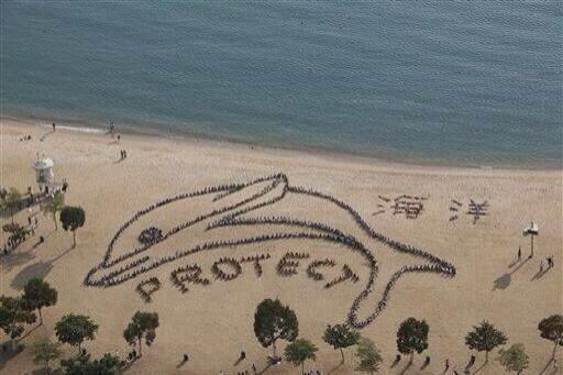earthposts's tweet photo. 800 children in Hong Kong protest against Dolphin slaughter #Protect #Respect http://t.co/EhM5PJRjvc