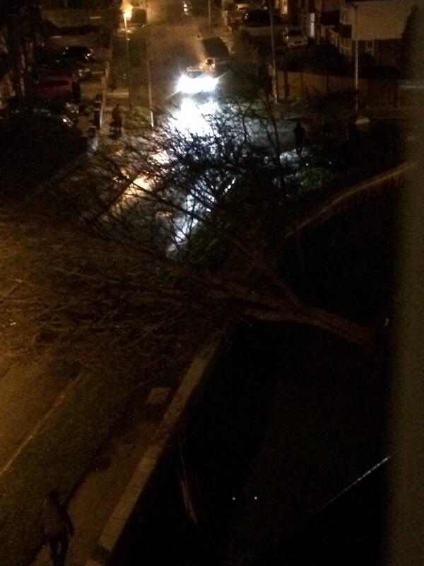 rowb91's tweet image. Big tree gone down outside my flat