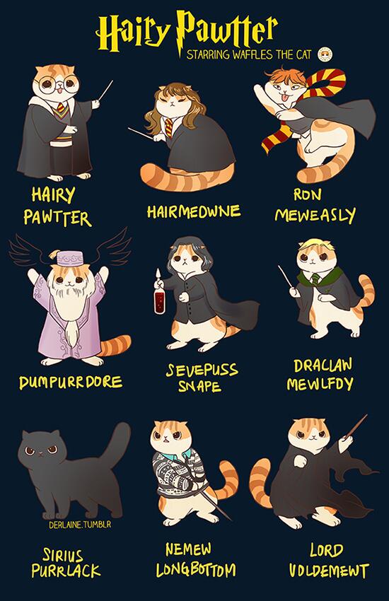 猫版ハリポタ Hairy Pawtter が最高すぎる ことのはを ひろいに 猫版ハリポタ Hairy Pawtter が最高すぎる ことのはを ひろいに