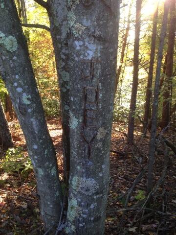 Joey Mulcahy (@buckwild_joey) on Twitter photo 