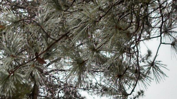 DNWriting's tweet image. Winter wonderland in Atlanta