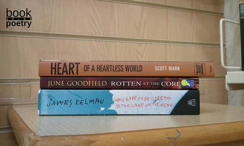 BookSpinePoetry's tweet photo. you have to be careful in the land of the free http://t.co/WIprFjp362 http://t.co/bXSqSia9Ml