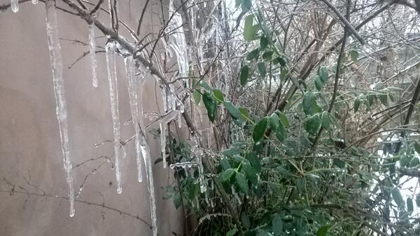 NatureEmergency's tweet photo. Trees don't like the ice storm either! Ice the thickness of a hockey rink in some places, via @NWSAtlanta http://t.co/v19vbwRpKn