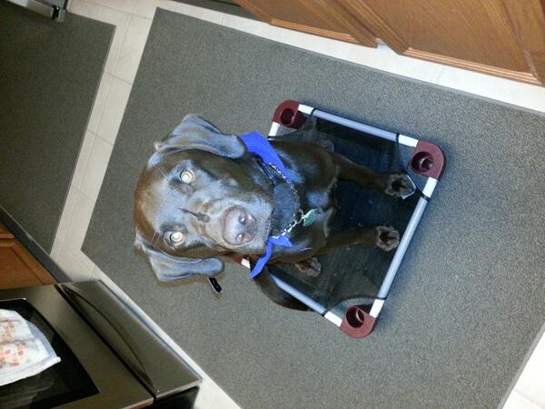 saux's tweet photo. We got some super cool training cots! http://t.co/UVDLLiGflY