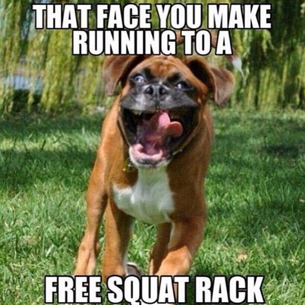 AFSubiaco's tweet photo. hehehehehehe #truth #gymtime #besttime http://t.co/5BSlpYxLWC