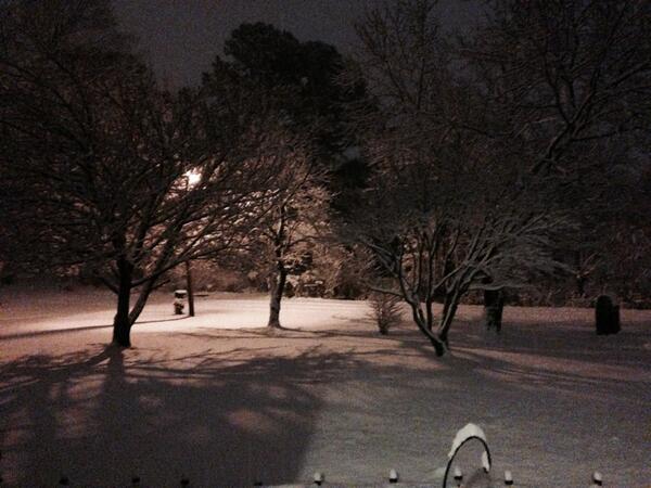 laina256's tweet image. Cullman ! @spann