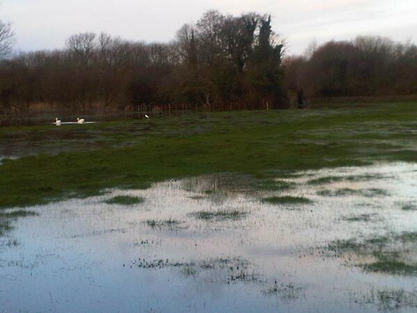 EnvAgencySE's tweet photo. The #Itchen barrier has created 206,000 square metre pond and will not affect properties upstream #floodaware #Hants http://t.co/PmP5da5cmf