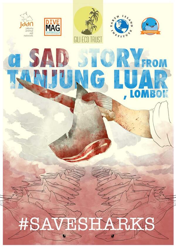 itong_hiu's tweet photo. "A SAD STORY FROM TANJUNG LUAR, LOMBOK" Temukan kebenarannya: Jumat,14 Feb di @DiveBoxCoffee jam 10 pagi #savesharks http://t.co/8cvk2zId4X
