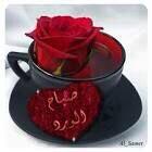 Ebrahem636Malak's tweet photo. صباح التفائل والامل http://t.co/1K3A7jUF03