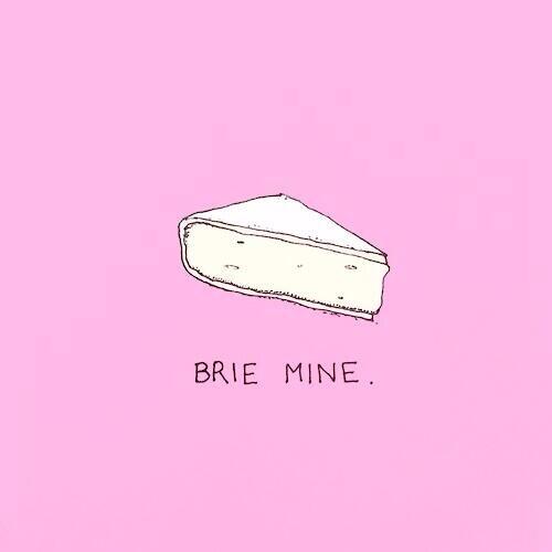 WWEMikeG's tweet image. @nicoleandbri @WWEDanielBryan Here&apos;s a tip for a...cheesy....Valentine&apos;s day card. #BrieMine #CheeseHumor #WWE