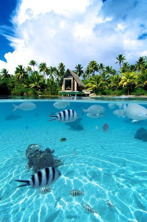 _Paisajes_'s tweet photo. La naturaleza en  Bora Bora. http://t.co/OgtJmon0rL