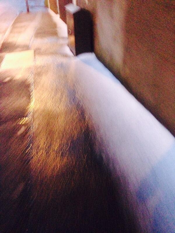 JamesInACrown's tweet image. IT SNOWED?!,!,!,!,!,!, aadkfldlahshk //