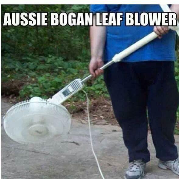 moody_bluelips's tweet image. #aussiehumor