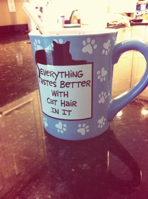 Yep http://t.co/tBTkAuZgpO