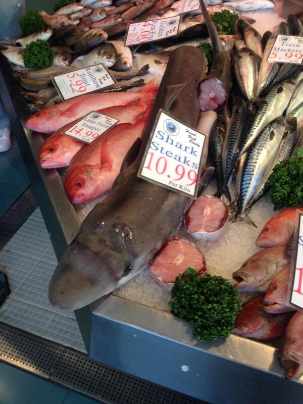 This has just ruined my day. Seen in @manarndale market. cc @bite_back @sharktrustuk #sharks #sharkawareness