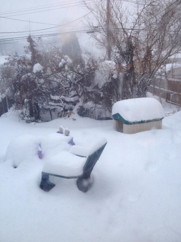 evrydaysolution's tweet image. @sheinelle29