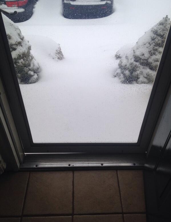 MsJillyYam's tweet photo. @fox5newsdc trying to figure out how to walk the dogs! My stairs disappeared completely! #fox5snowday http://t.co/K304qZTQjQ