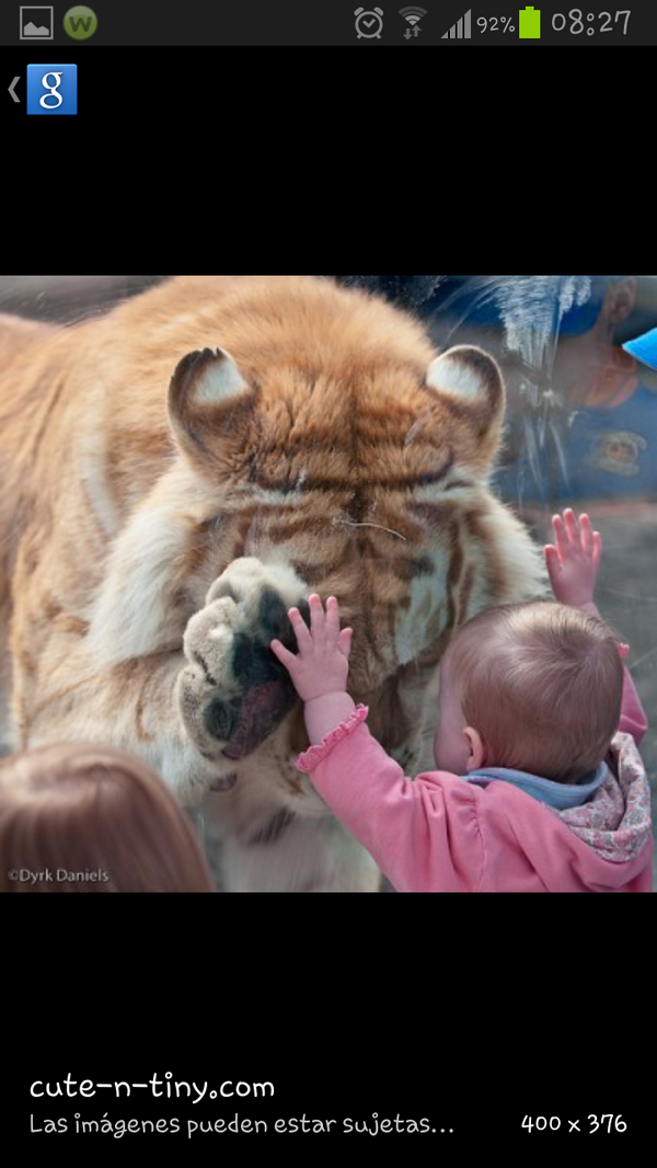 morenacaixas's tweet photo. So sweet http://t.co/lWXkbLyexH