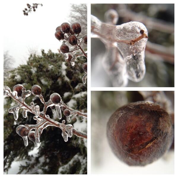 View image on Twitter View image on Twitter